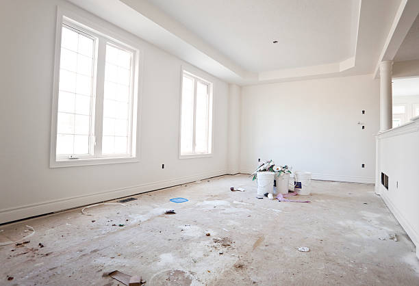 Best Mold Damage Restoration  in Incline Village, NV
