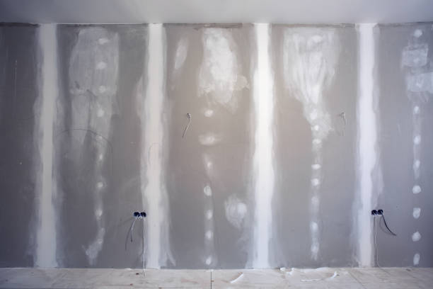 Best Post-Construction Mold Inspection  in Incline Village, NV